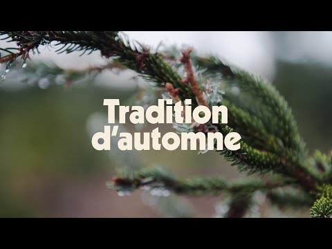 W's Original Canadian Insulated Shirt