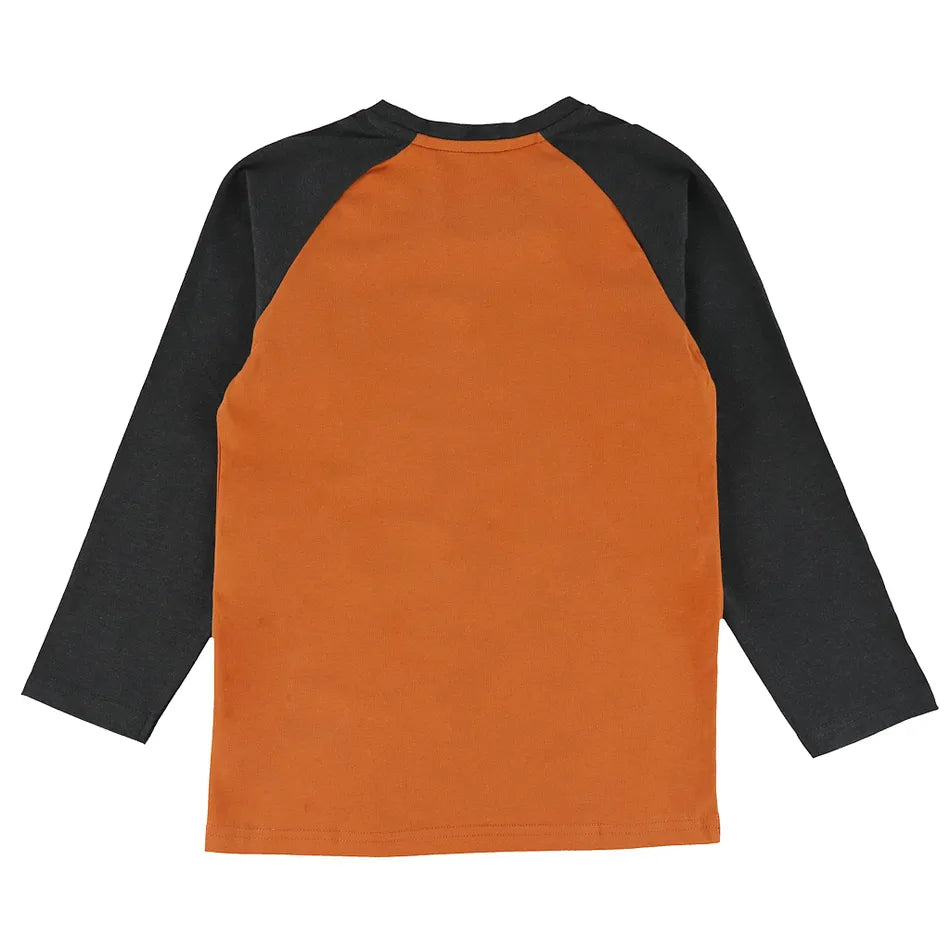 K's Landscape Raglan LS T-shirt