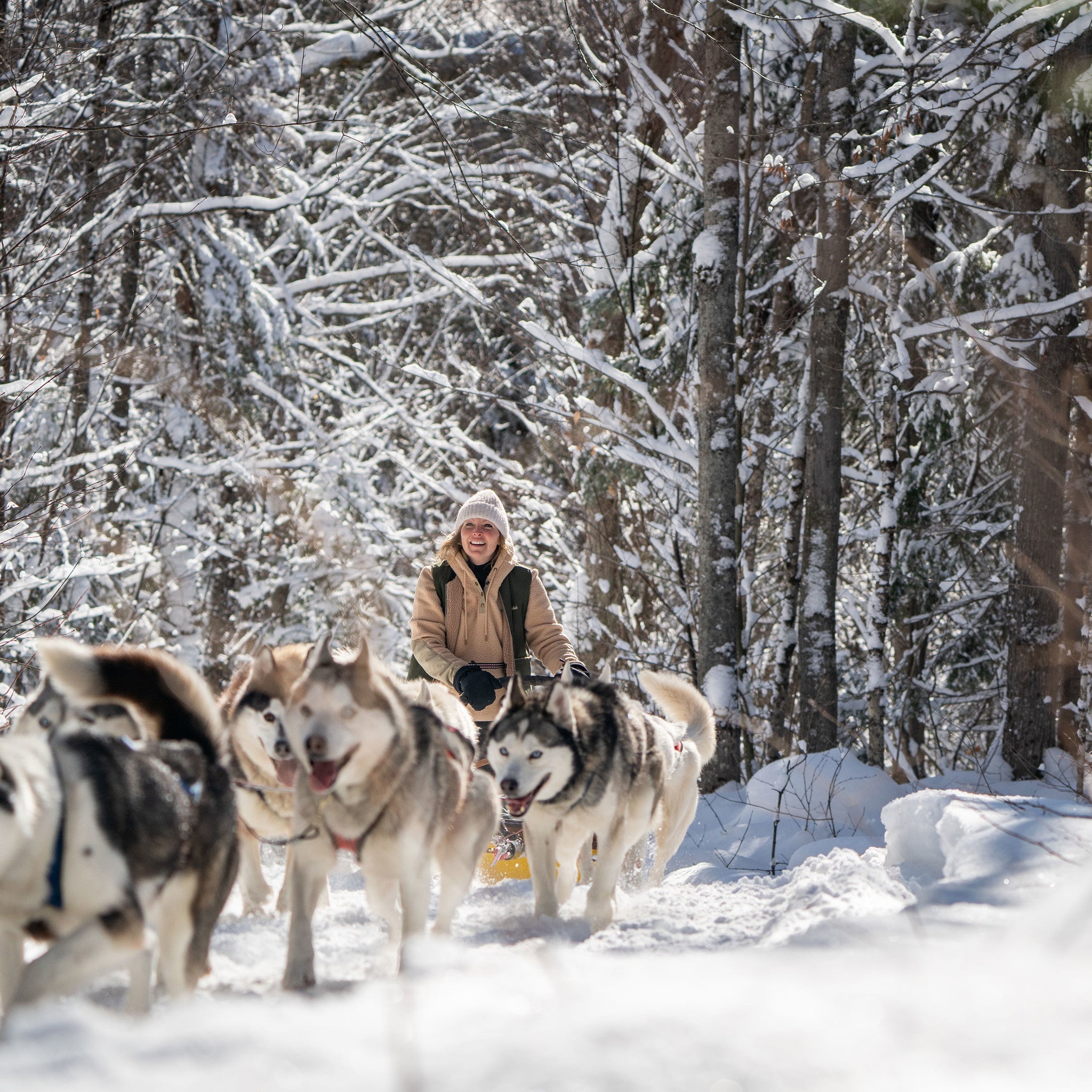 Hooké Signature Beanie Beige